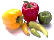 Fertilizers for Healthy Vegetables Farming