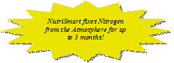 NutriSmart fixes Nitrogen from the Atmosphere for up to 5 months